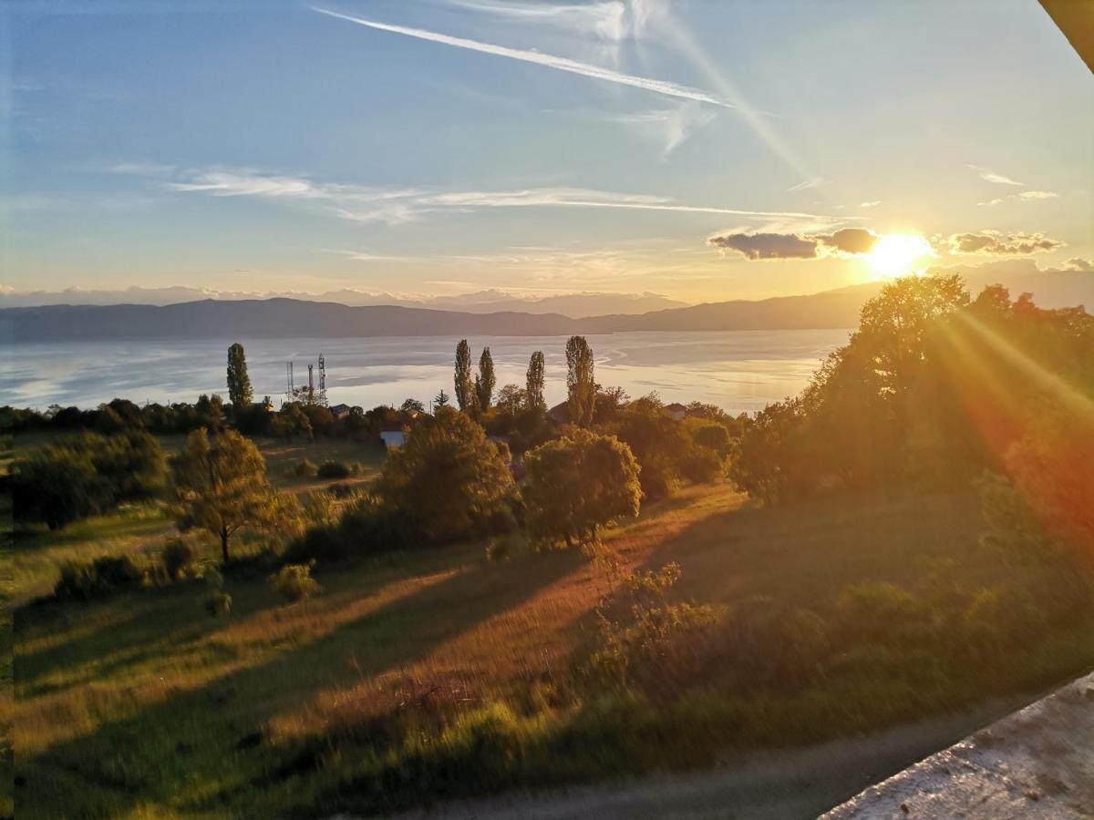 Villa Grkasha Ohrid Exterior photo